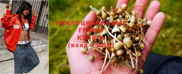 герыч Навашино