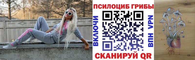 Галлюциногенные грибы MAGIC MUSHROOMS  Купить где  Семикаракорск 